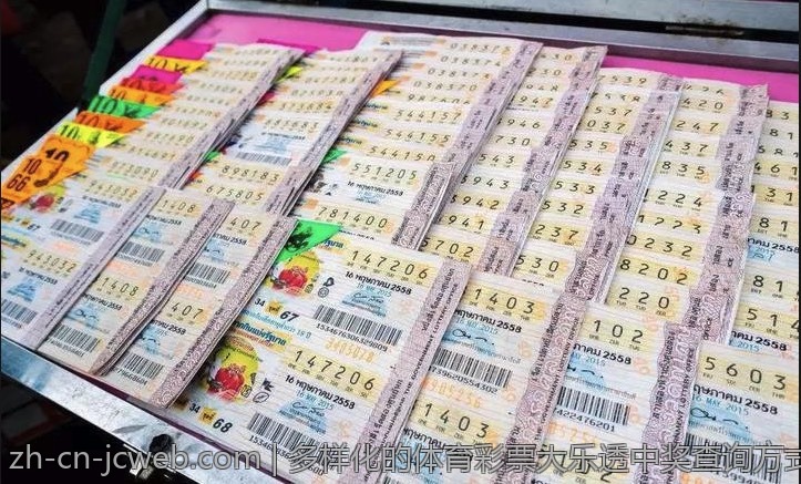 多样化的体育彩票大乐透中奖查询方式